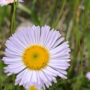 Meet your Posher, Madi